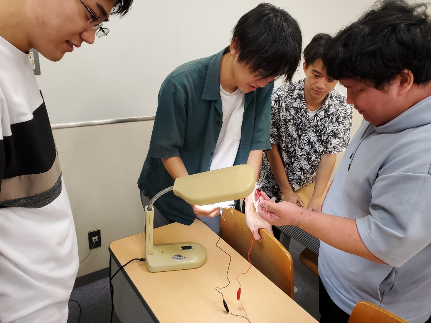 グレッツェルセルの作製実習