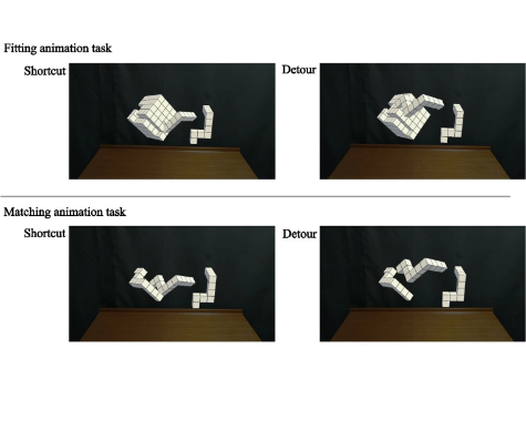 20260416_yoshioka-tn